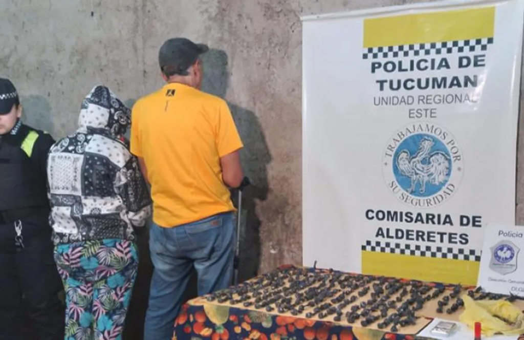 Decomisan más de 150 bagullos de marihuana en un allanamiento